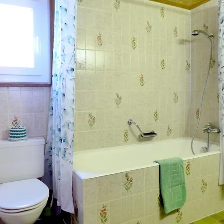 Larix By Interhome Bürchen